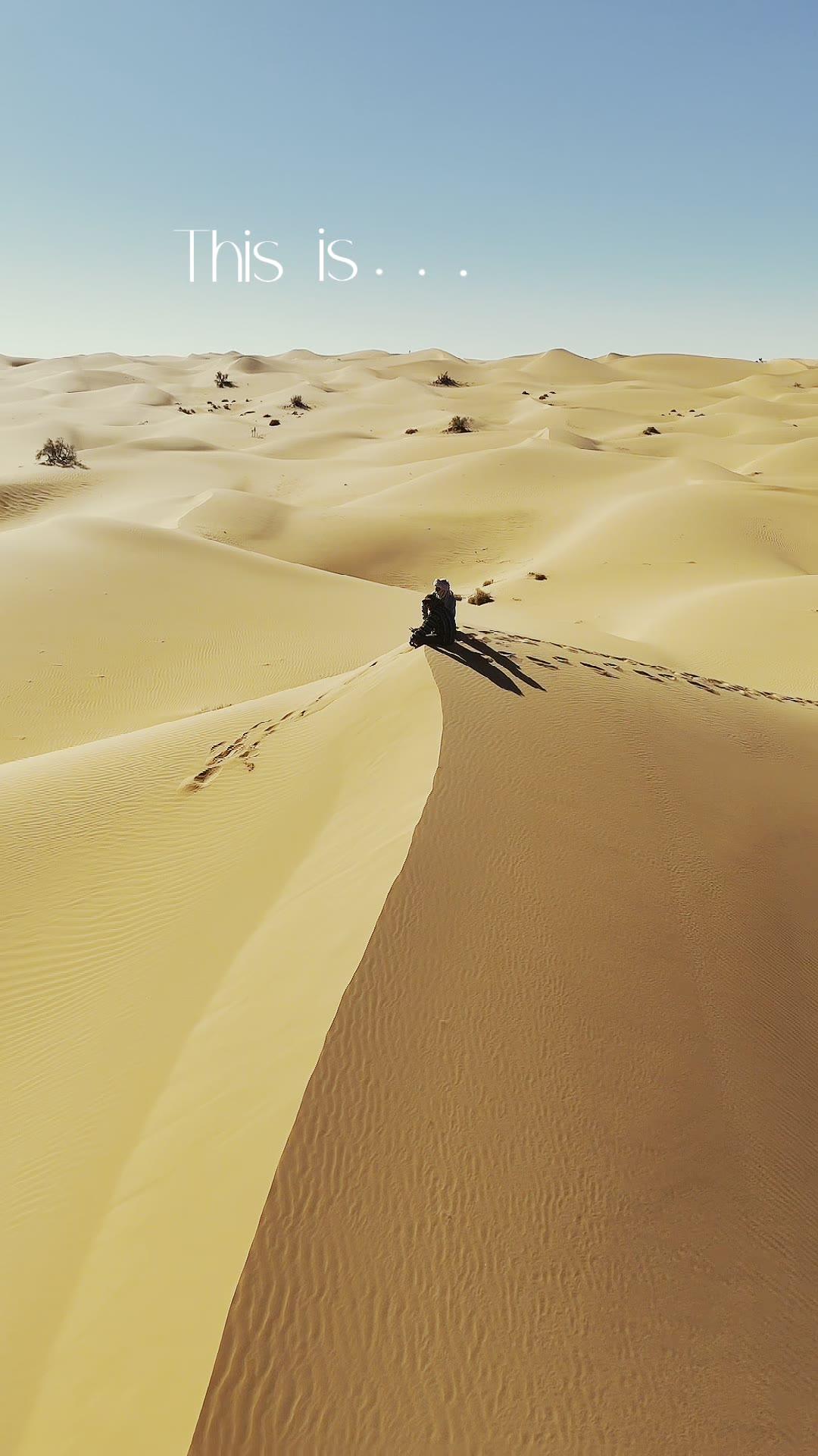 Ferme Habib au cœur de l’oasis du Sahara