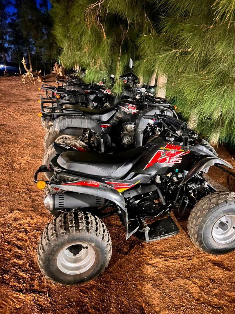 Quads alignés sous les arbres à la tombée du jour